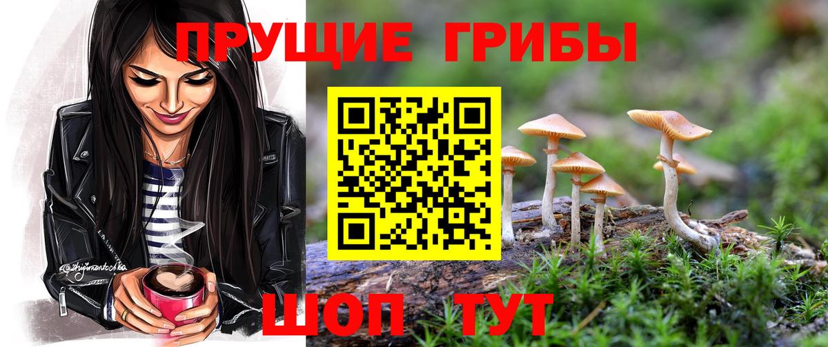Галлюциногенные грибы GOLDEN TEACHER  Вход с VPN  Красный Сулин 