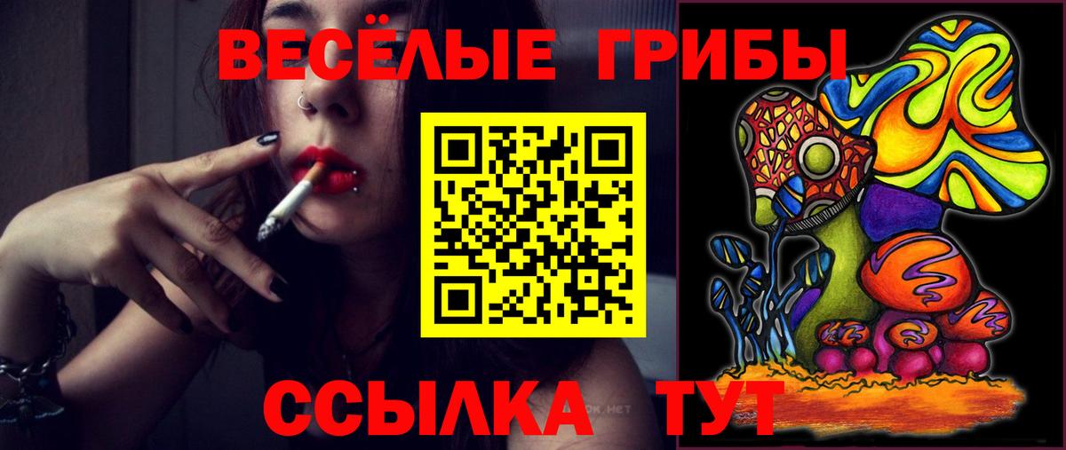 Псилоцибиновые грибы мухоморы Красный Сулин